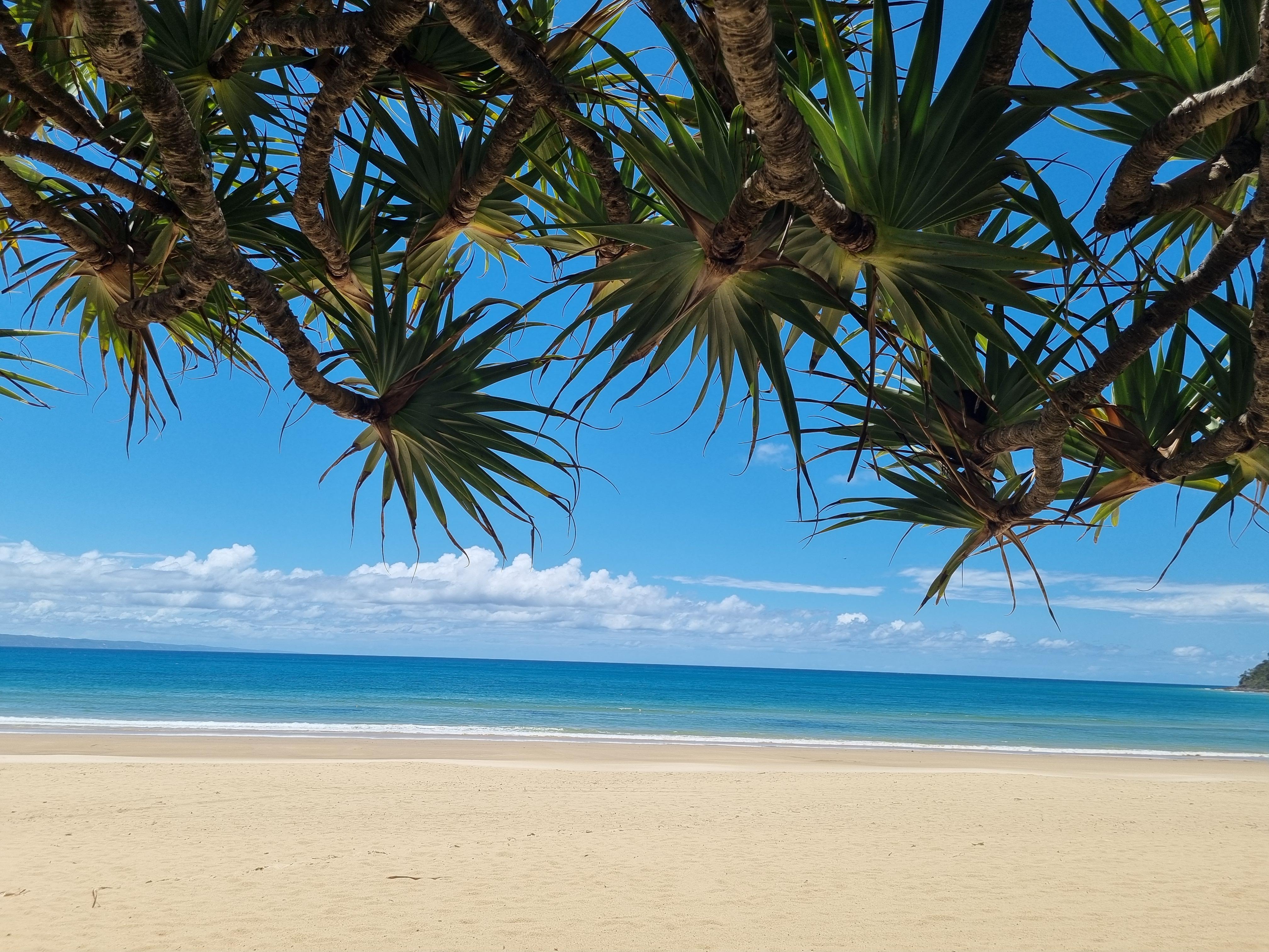 Noosa River Retreat Holiday Apartments Noosaville Buitenkant foto